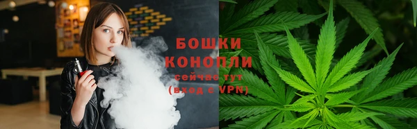 бутират Белокуриха
