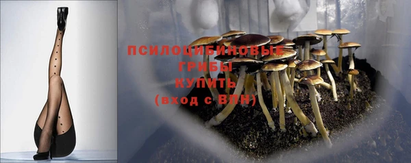 2c-b Богородск