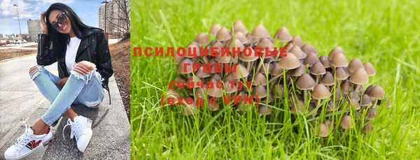 2c-b Богородск